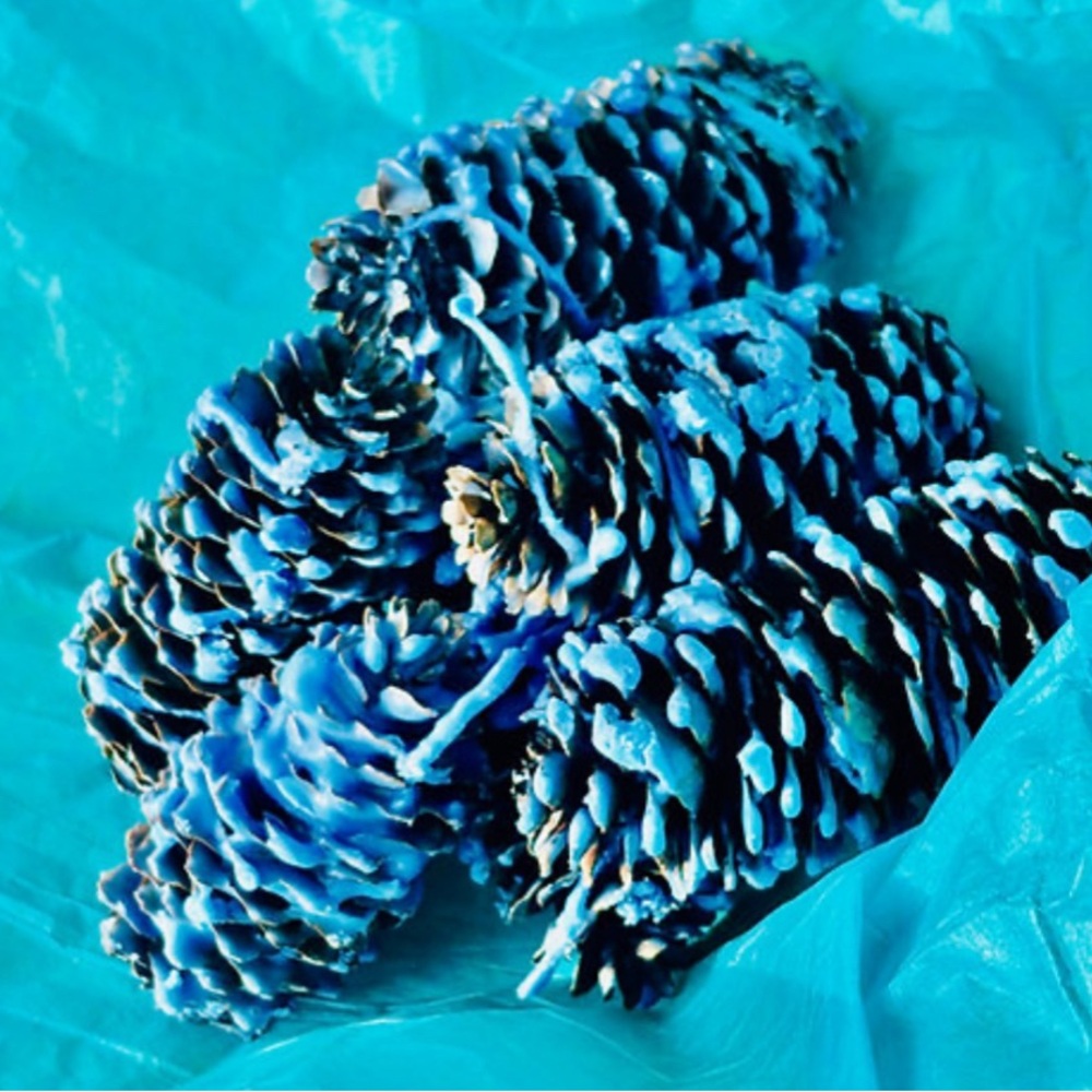 Baby Blue Pinecone Fire Starters